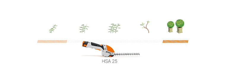 HSA 25